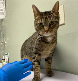 Photo of Hugo FKA Marshall