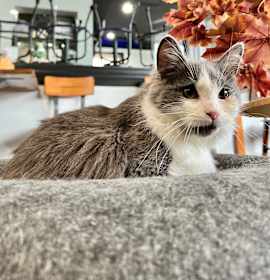 Photo of Timmy Miller