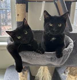 Photo of Uncle Fester & Pugsley