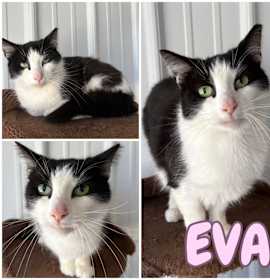 Photo of Eva Fee Waived