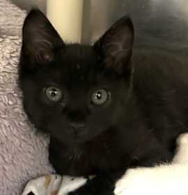 Photo of Betsy Krabs