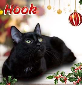 Photo of Hook