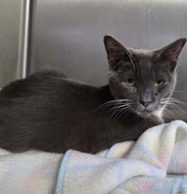 Photo of Mr McFeeley