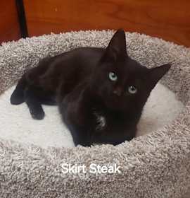 Photo of Skirt Steak