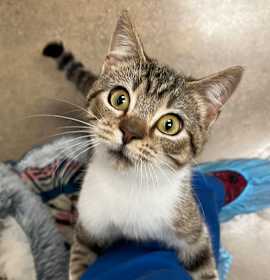 Photo of Robert Irwin