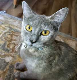 Photo of CLOUDY #1792 - Offereed by Owner