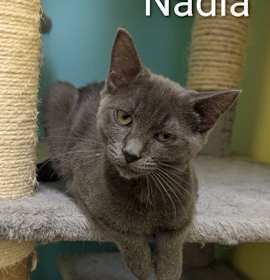 Photo of Nadia