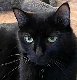 Photo of Tilly Millie