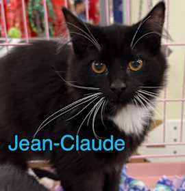 Photo of Jean-Claude