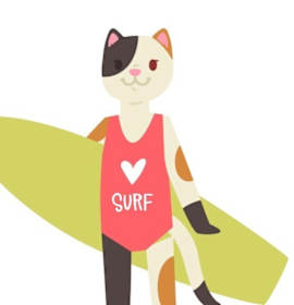 Photo of Z - Unlisted Cat