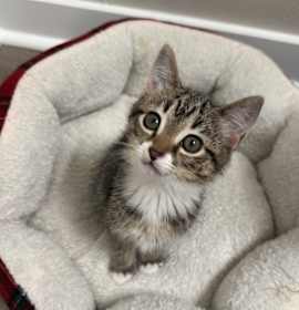 Photo of Eleven “El” Willis-RW