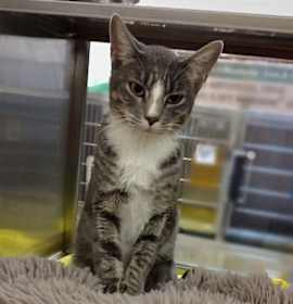 Photo of Delilah 45610