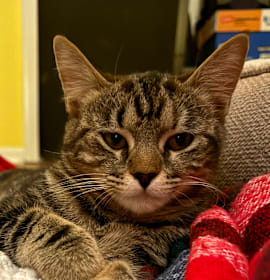 Photo of Earl Froehlich (sister of Cider)