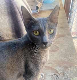 Photo of Gemma Lee_Str-112525