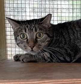 Photo of MRS. NORRIS