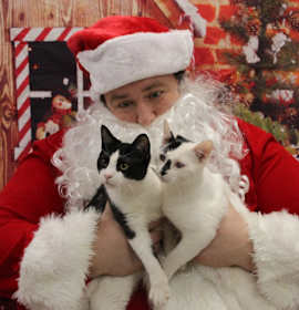 Photo of Biggie Smalls