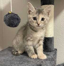 Photo of 25-40 Nellie