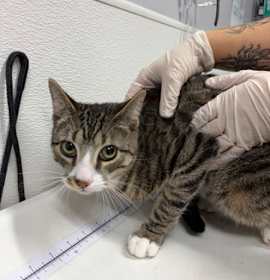 Photo of Benny FKA Ivy