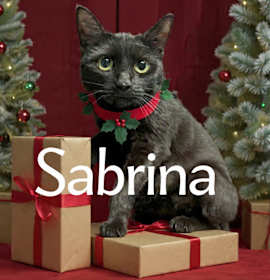 Photo of Sabrina