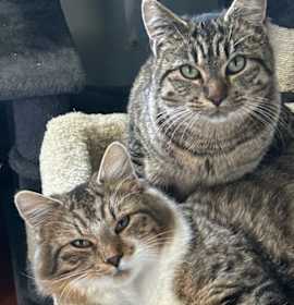 Photo of Gulley & Furn