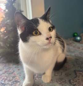 Photo of Tater Bounty 55639