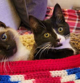 Photo of Penny and Pippa