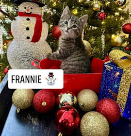 Photo of Frannie