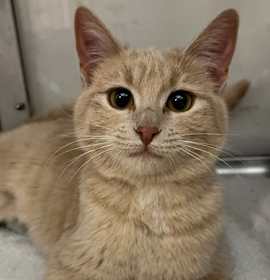 Photo of Ashlee Charmz