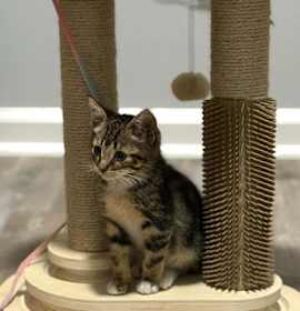 Photo of Leonardo DeCatprio