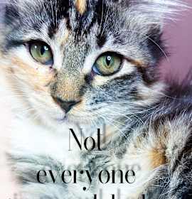 Photo of Little Princess Calista