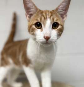 Photo of Dean & Castiel