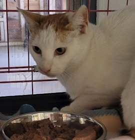 Photo of 2025-152A Crimson