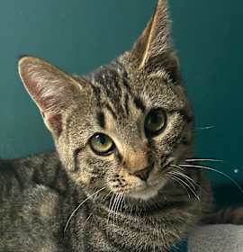 Photo of Zelda Koster