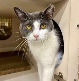 Photo of Nola Rockbridge