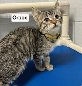 Photo of Grace