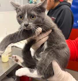 Photo of Val FKA Ellie