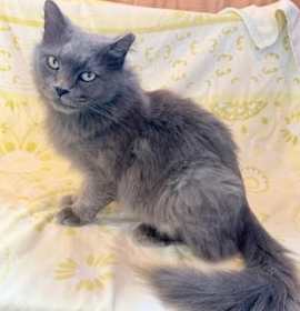 Photo of Ashtyn C25-352