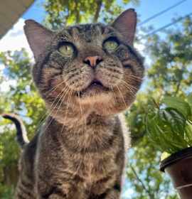 Photo of Fat Man Evan