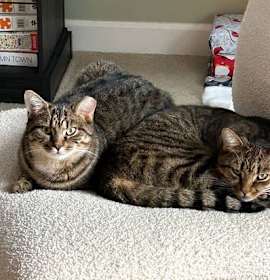 Photo of Henry and Toto