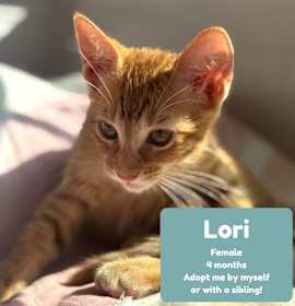 Photo of Lori
