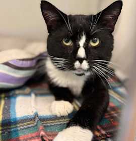 Photo of GhostBusters