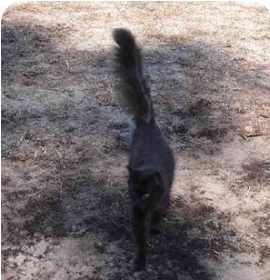 Photo of Blackie Long