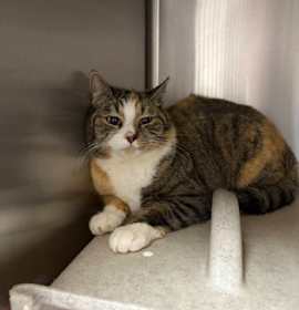 Photo of Mistletoe Mary*