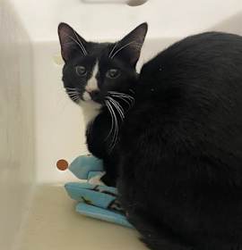 Photo of MCJINGLEPANTS