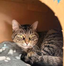 Photo of Peppermint Mocha