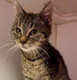 Photo of Miss Rue Who