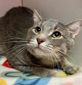 Photo of Richard Mille