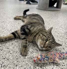 Photo of Mike (not Maya)