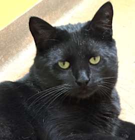 Photo of Brucie Bear