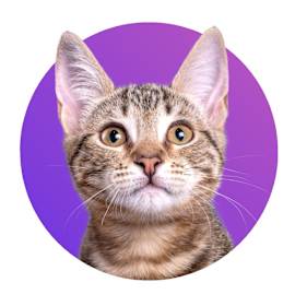 Photo of Ella Catzgerald 